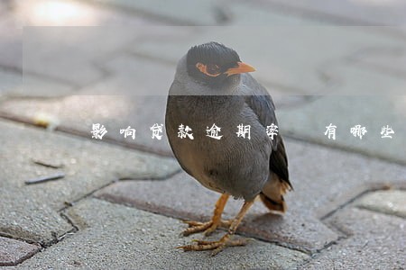 影响贷款逾期率 有哪些因素 影响贷款逾期率 有哪些因素